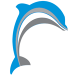 Mavorion's Dolphin HMIS Logo